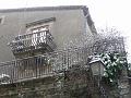Neve (59)